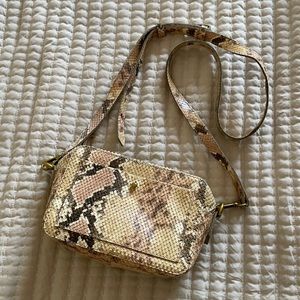 Madewell Snake Skin bag